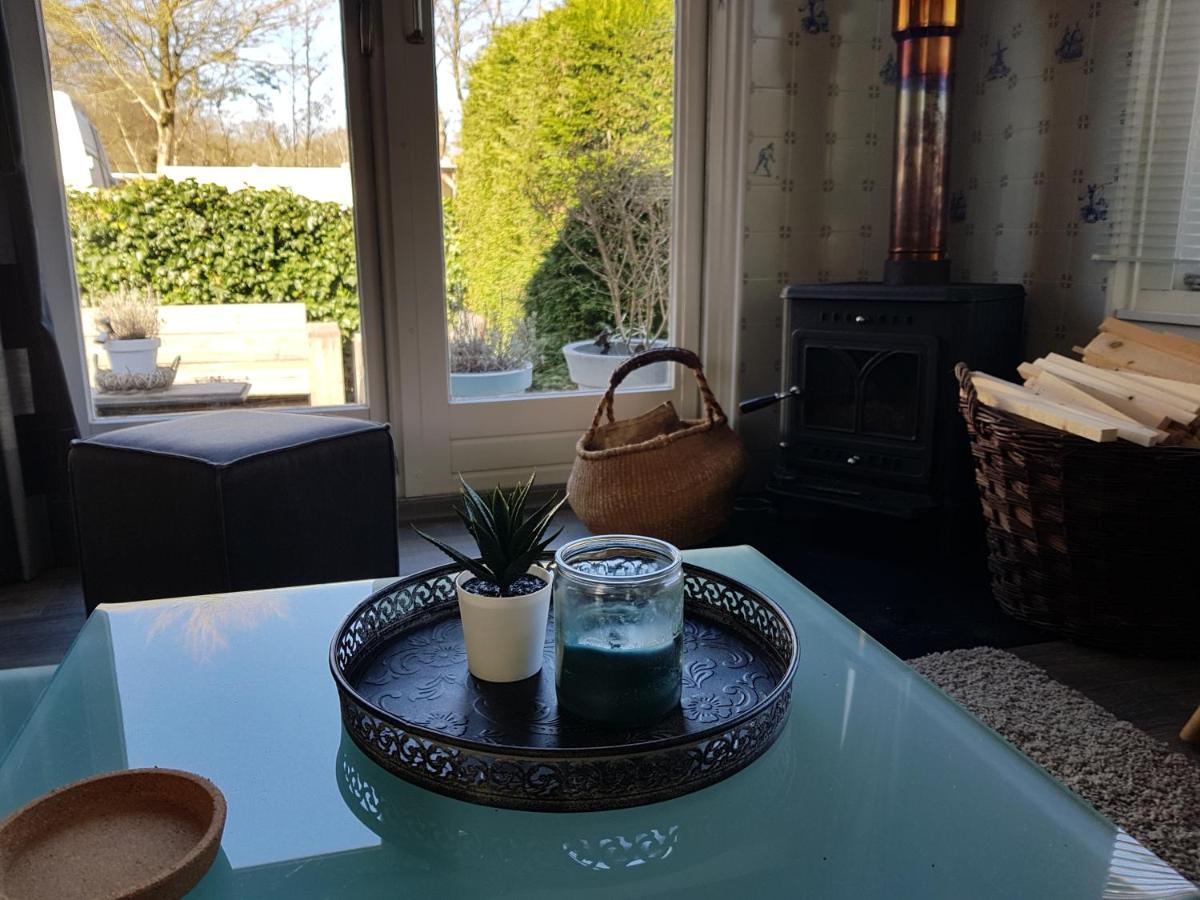Chalet Gaasterland Bos-Ijsselmeer 4 Pers. Rijs Bagian luar foto